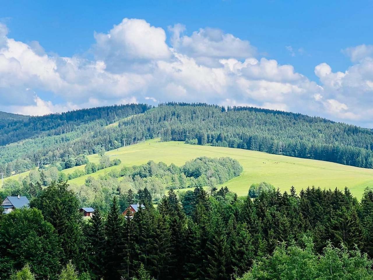 Chalupa Chriby Destne v Orlickych horach Buitenkant foto