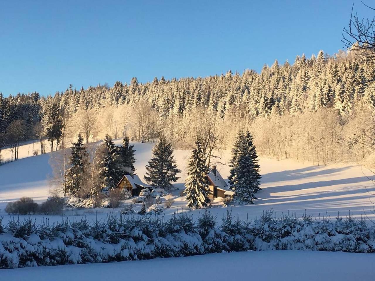 Chalupa Chriby Destne v Orlickych horach Buitenkant foto